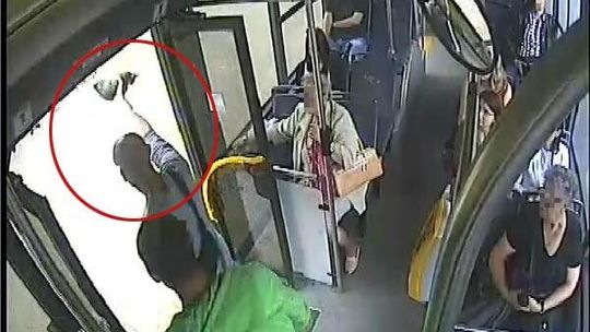 Rzucał kociętami po autobusie, nikt nie reagował. \"Tylko się z nimi bawiłem\"