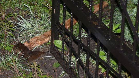 Rzucił się z siekierą na policjantów. Padł strzał