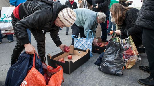 Rzucili się na darmowe jabłka. Niektórzy wynosili je siatkami [wideo]