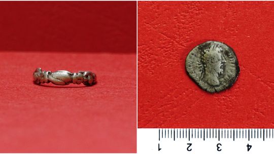Rzymskie denary i pierścień z wiernością w tle. Archeologiczny skarb z Lubelszczyzny trafi do muzeów