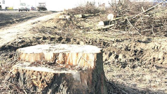 S-17: Budowa się rozkręca