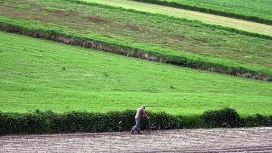 Są pieniądze dla poszkodowanych rolników