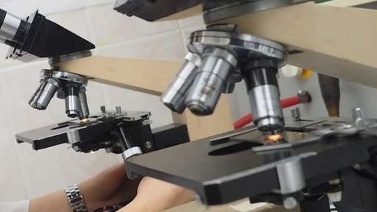 Są złe i dobre laboratoria. Dyrektor jednej z firm nie zgadza się z zarzutami