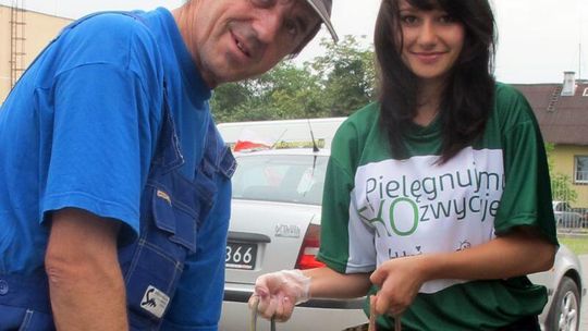 Sadzonki za butelki i słoiki w Zamościu i Lublinie