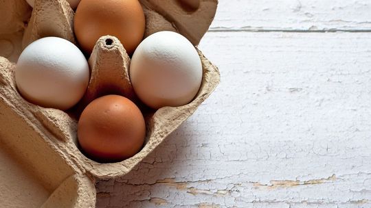Salmonella na skorupkach jaj. Tej partii nie można spożywać