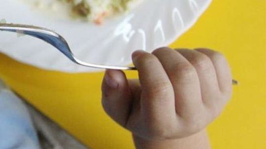 Salmonella w kolejnym przedszkolu w Puławach. Źródło choroby? Nieznane