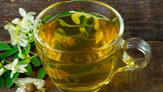 Salmonella w ziołowej herbatce z Lublina. Lepiej jej nie pić