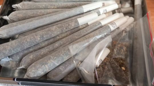 Sam siał, doglądał, suszył. Marihuana i grzybki u 31-latka z Puław