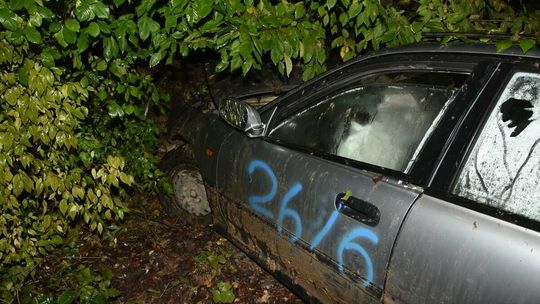 Samochód rozbił się na drzewie. W środku były cztery osoby