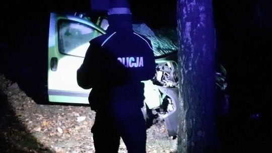 Samochód uderzył w drzewo. Kierowca i pasażer trafili do szpitala