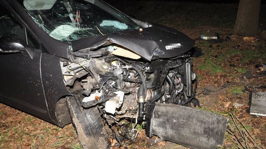 Samochód uderzył w drzewo. Trzy osoby trafiły do szpitala