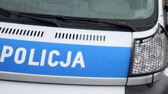 Samochód zderzył się z łosiem. Dwie osoby ranne