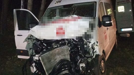 Samochód zderzył się z przebiegającym przez jezdnię jeleniem. Dwie osoby w szpitalu