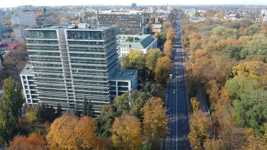 Samochody kontra drzewa, czyli wielka przebudowa Al. Racławickich w Lublinie. Za i przeciw