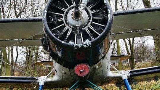 Samolot Lubelskiego Aeroklubu niszczeje w krzakach (zdjęcia)