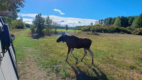 Samorząd kupuje "broń" i przeszkoli urzędników 