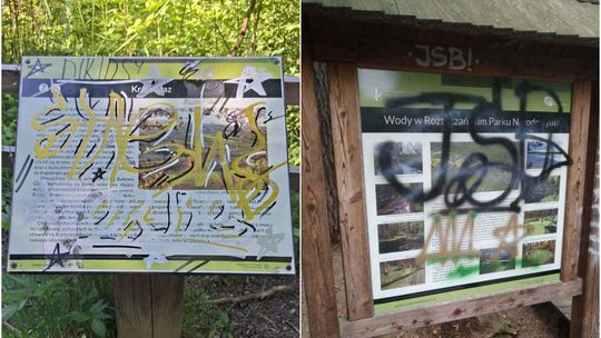 Samozwańczy „artysta” na terenie Roztoczańskiego Parku Narodowego. „Wandalom mówimy zdecydowane NIE”