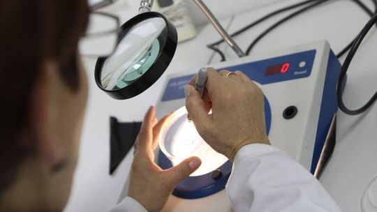 Sanepid śladami turystów: 11 mandatów, na 2600 zł