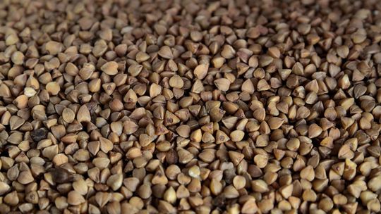 Sanepid: W kaszy firmy z Janowa Lubelskiego nie było szkodliwej substancji. Producent wydał oświadczenie