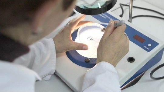 Sanepid zamknął przedszkole w Białej Podlaskiej: 10 dzieci z salmonellą