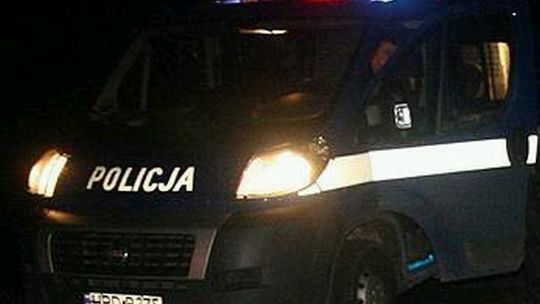 Sanie bez woźnicy pędziły po drodze