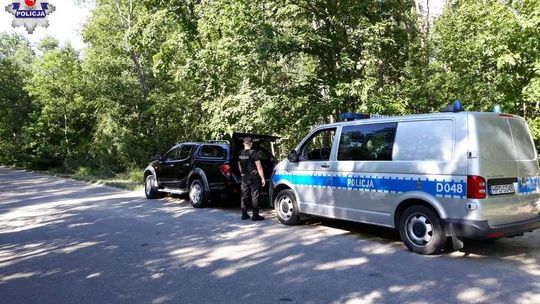 Sarna biegała po centrum miasta. Nie wiedziała, co się dzieje