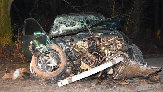 Sarna przyczyną groźnego wypadku