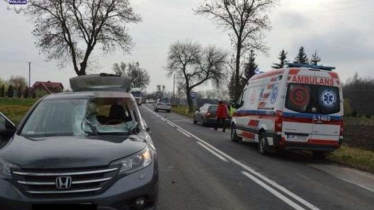 Sarna wpadła do samochodu. Kierowca trafił do szpitala