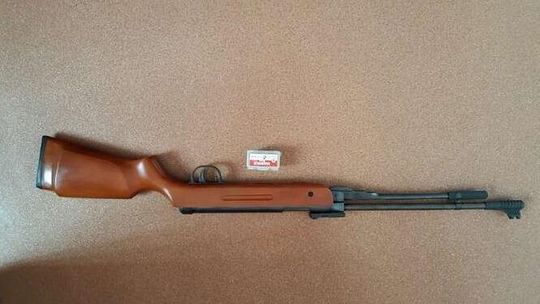 Sąsiad strzelił do kota z wiatrówki