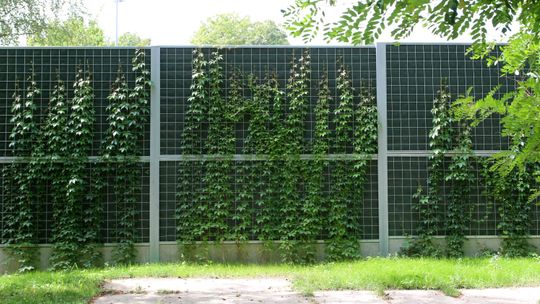 Sąsiadom boiska było za głośno i za jasno. Kiedy powstał ekran za 240 tysięcy, jest za ciemno