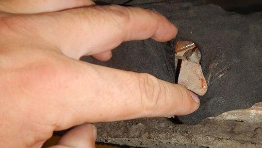 Schował pod podłogą ponad 17 kg bursztynu. Wpadł po prześwietleniu wozu