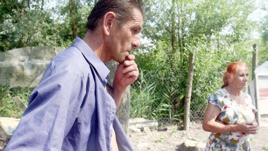 Ściął topolę, która przygniotła jego matkę. Teraz ma zapłacić 18 tys. zł