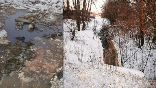 Ścieki z zakładów mięsnych znów trafiły do rzeki?