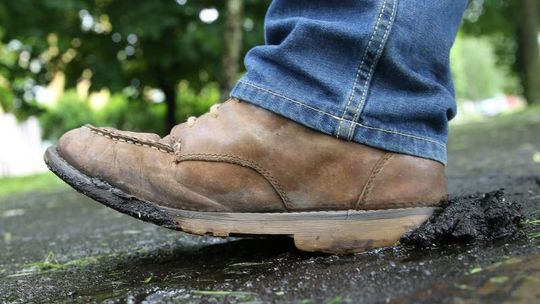 Ścieżka na ul. Filaretów rozpada się. Urzędnicy trafią na dywanik