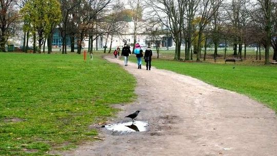 Ścieżka obok Zamku zamienia się w błotną ślizgawkę