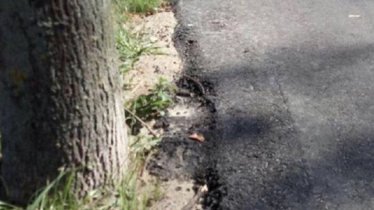 Ścieżki rowerowe w mieście. Rowerzyści mają uwagi