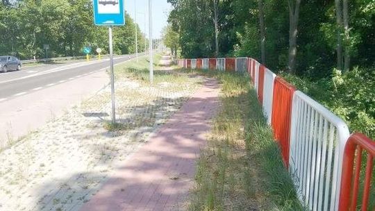 Ścieżki rowerowe zarastają trawą. "Wystarczy położyć asfalt zamiast kostki"