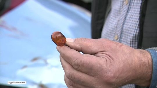 Ścigała mechanika za żarówkę. Szefowa skarbówki zwolniona z pracy