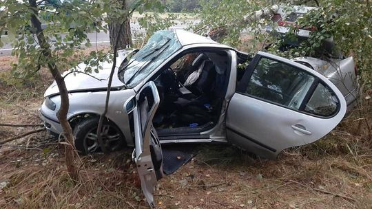 Seat uderzył w drzewo. Kierowca nie przeżył wypadku
