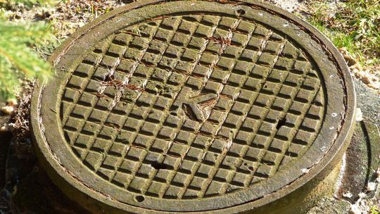 Sekwencjonowanie ścieków może pomóc w monitorowaniu wariantów SARS-CoV-2