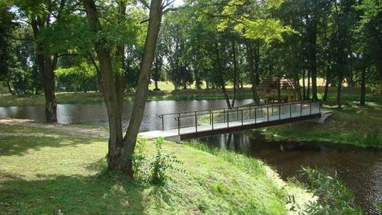 Serniki pięknieją. Tak się zmieniło