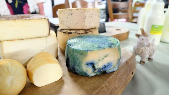 Sery na okrągło. Smaczne wydarzenie już w najbliższą sobotę