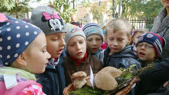 Sezon na grzyby trwa. Sanepid uczy grzybiarzy-amatorów