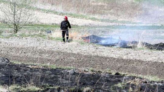 Sezon na wypalanie traw. Nie pomagają apele i groźby. Nawet 20 wyjazdów w tygodniu