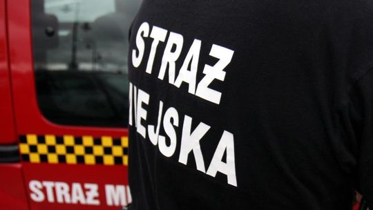 Sfałszował kartę parkingową niepełnosprawnego. Parkował za darmo