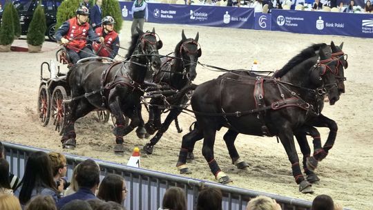 Show na parkurze dla najlepszej widowni w Polsce. Cavaliada Lublin 2020 [program, bilety]