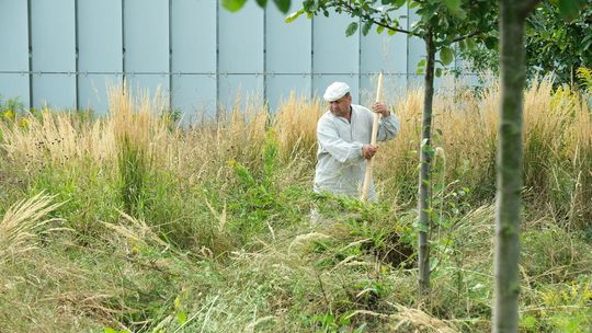 Sianokosy w centrum Lublina. Na dachu Centrum Spotkania Kultur [zdjęcia]