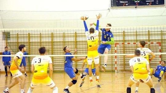 Siatkarze Avii rozopczynają przygotowania do kolejnego sezonu