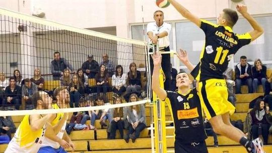 Siatkarze Avii Świdnik grają w sobotę z liderem tabeli TSV Sanok