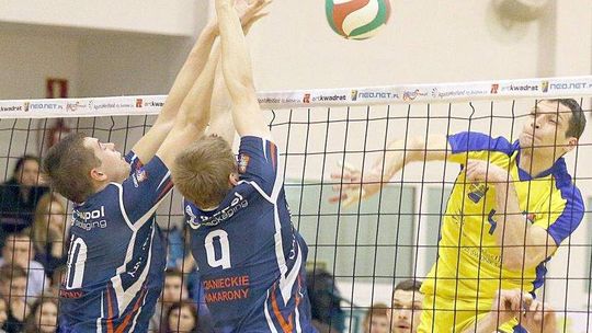 Siatkarze Avii "w nagrodę" dostali wypowiedzenia i mogą szukać nowych klubów